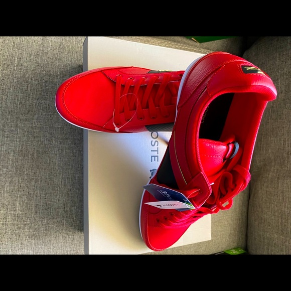 COPY - Brand new Lacoste shoes - Picture 4 of 8